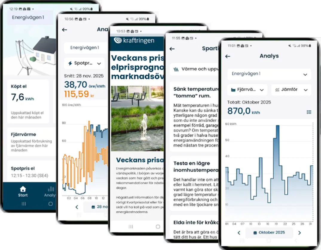 Överblick av Kraftringens app